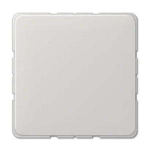 Изображение Заглушка с опорной пластиной CD594-0LG CD 500