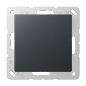 Изображение Заглушка с опорной пластиной A Flow антрацит матовый A594-0ANM Jung