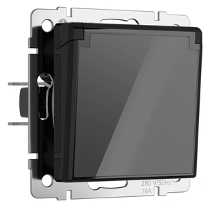 Изображение Розетка влагозащ. с зазем. с защит. крышкой и шторками (черный акрил) W1171248