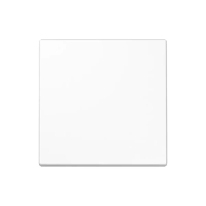 Изображение Клавиша для выключателя ECO Profi белый EP490WW Jung